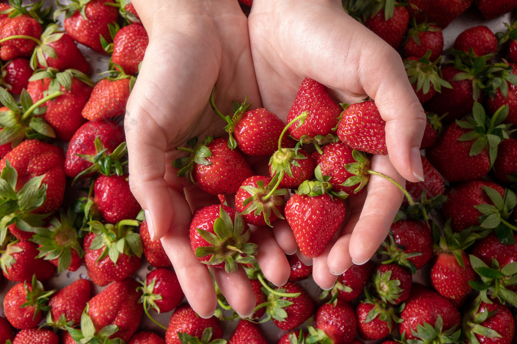 女人的手上握着一个多汁的成熟有机草莓上面有绿色的茎平躺女手握着