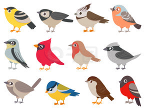 可爱的小鸟。手绘彩色小鸟、打印卡片的动物角色、花园装饰。幼稚海报矢量集的元素。鸟类自然绘画，动物自然动物园插图。可爱的小鸟。手绘彩色小鸟、打印卡片的动物角色、花园装饰。幼稚海报矢量集的元素