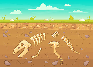 卡通爬行动物骨头地面。考古学埋在地<i>下</i>的骨头游戏，土壤层中的恐龙骨架矢量背景插图。爬行动物考古学，古代灭绝的史前史。卡通爬行动物骨头地面。考古学在地<i>下</i>埋骨游戏，土壤层中的恐龙骨架矢量背景插图