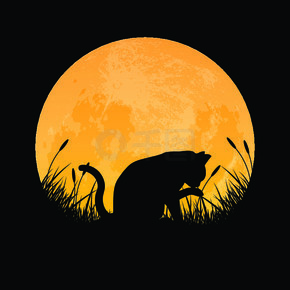 猫在满月背景的草地上梳理自己的剪影，矢量图