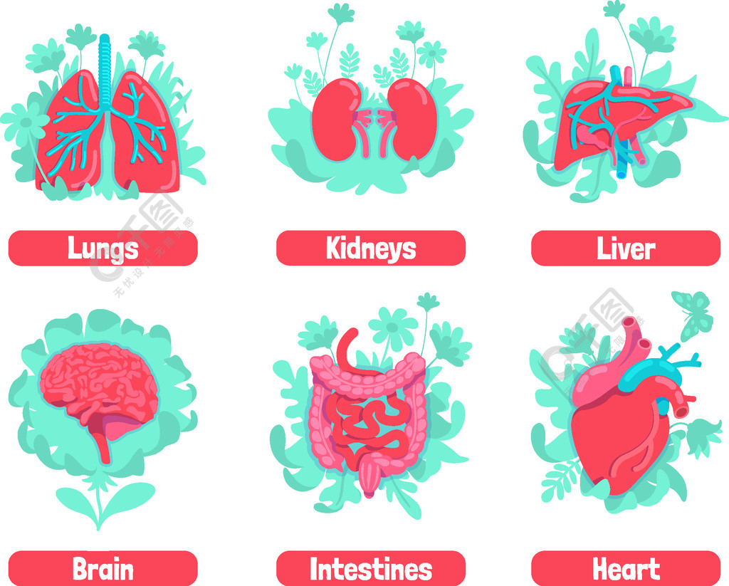 身体健康隐喻的补救措施.人体器官 2d 卡通对象.