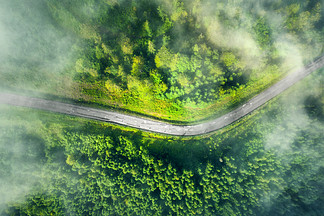 夏季日落时在美丽的绿色森林中低云的道<i>路</i>鸟瞰图。五颜六色的景观与雾中的道<i>路</i>，喀尔巴阡山脉的松树。高速公<i>路</i>的顶视图。在乌克兰旅行