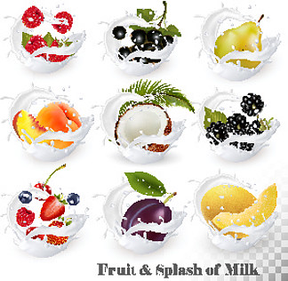 牛奶飞<i>溅</i>中的大量水果。草莓、黑莓、大莓、李子、梨、桃、草莓、椰子、蜜露。矢量集 15。