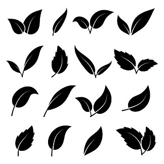 叶剪影。树木和植物的黑叶各种优雅的形状、草<i>本</i>茶叶生态标签、有机叶子标志系列、装饰植物载体隔离在白色背景集。叶剪影。树木和植物的黑叶各种优雅的形状、草<i>本</i>茶叶生态标签、有机叶标志系列、装饰植物载体隔离集