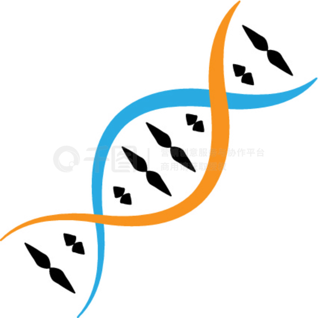  Dna ͼʸͼ