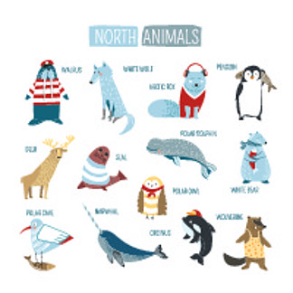 为孩子们设计的卡通北极或南极动物。北极熊、海象或白狼和北极狐的矢量有趣动物园与企鹅、逆戟鲸和独角鲸<i>穿</i><i>着</i>衣服。北极或南极动物矢量卡通设计