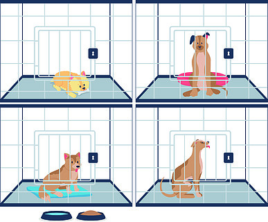 小狗收养兽医中心为网页图形设计和动画制作孤立的卡通插图