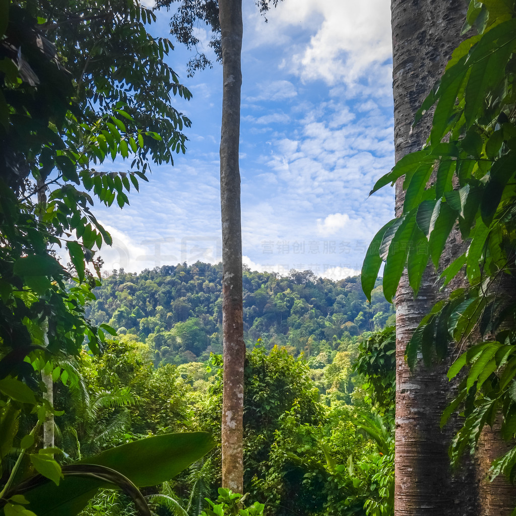 ־ۡTaman Negara ҹ԰ǡ־ۣ Taman Negara ҹ԰