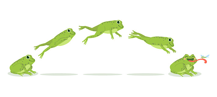 各种青蛙跳跃动画序列,跳跃绿色蟾蜍关键帧,有趣的水生动物狩猎昆虫