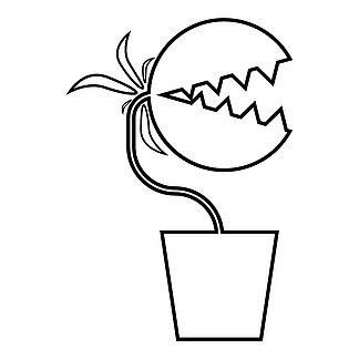 食虫草怎么画简单图片