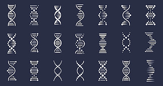 <i><i>DNA</i></i> 图标。遗传螺旋结构，基因组螺旋。生物技术分子概念，人类染色体矢量元素。实验室或诊所的未来医学，公司孤立的标志。 <i><i>DNA</i></i> 图标。遗传螺旋结构，基因组螺旋。生物技术分子概念，人类染色体矢量元素