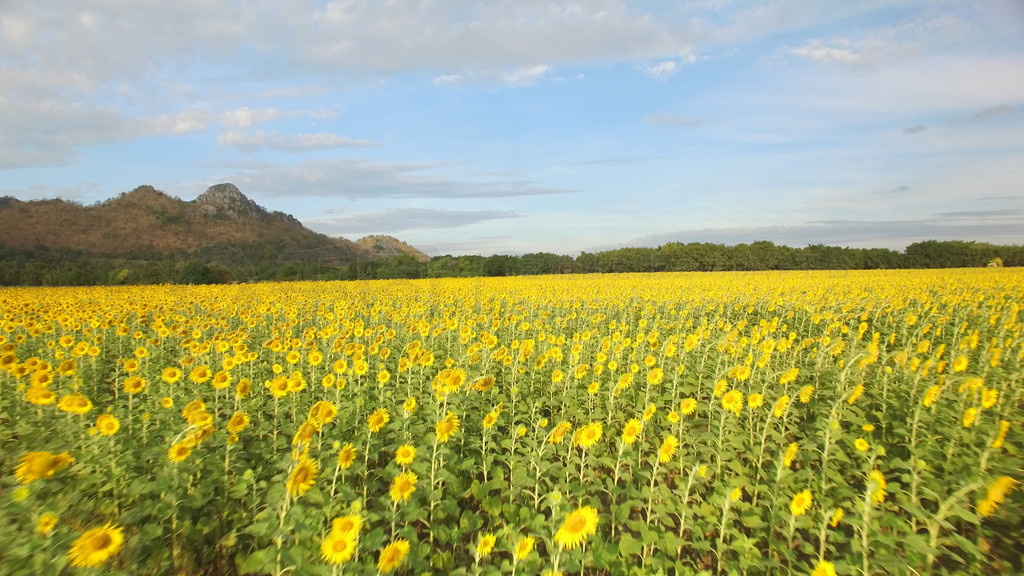 ̩ wat khao jeen lae տ