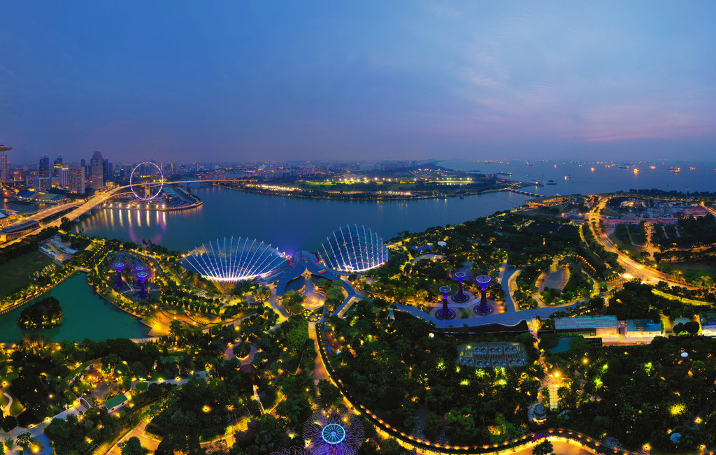新加坡夜景空中花园图片