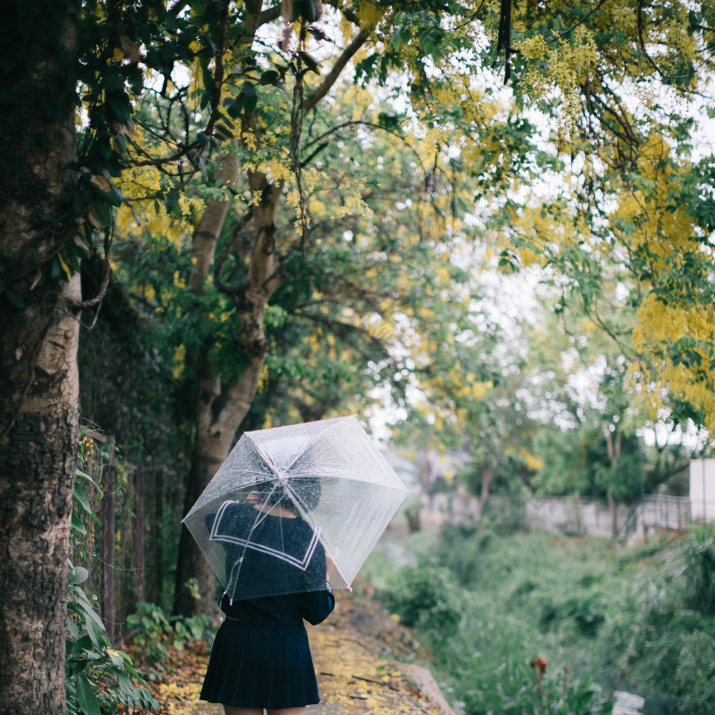 下雨时在自然人行道上撑伞行走的亚洲女学生画像