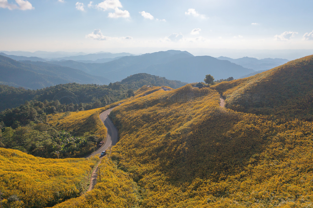 ̩غ˳һ԰԰ɽϵپջƻͼкͶȼеȻۡ Doi Mae U Kho  Thung Bua Tong