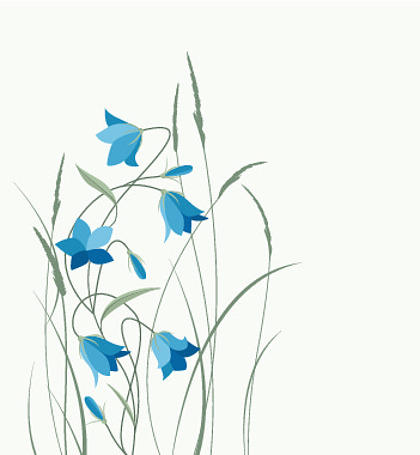 41卡通手绘绚丽鲸鱼插画9415夏花风铃草.矢量图蓝色钟形花在草丛中.