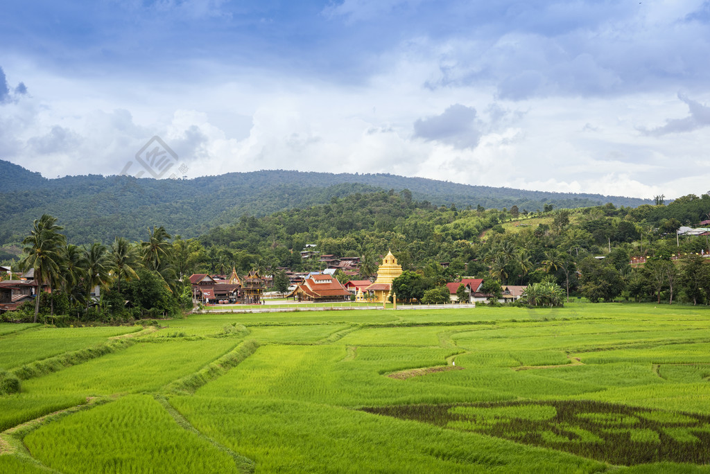 背景古寺的绿色稻田景观与古寺nahaeoloei寺的佛教美丽地标泰国naheaw