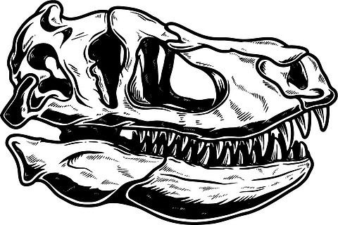 复古单色风格的霸王龙恐龙头骨插图