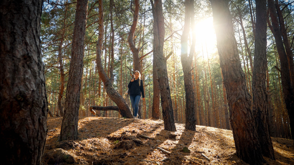 美丽的年轻女性徒步旅行者在日落时在森林里散步美丽的年轻女性徒步
