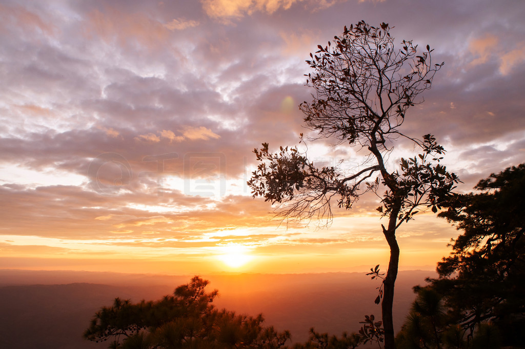 Phu Kradueng  Pha Lom SakĽɫϦգƶɢ䣬Ӱ踮 - ̩