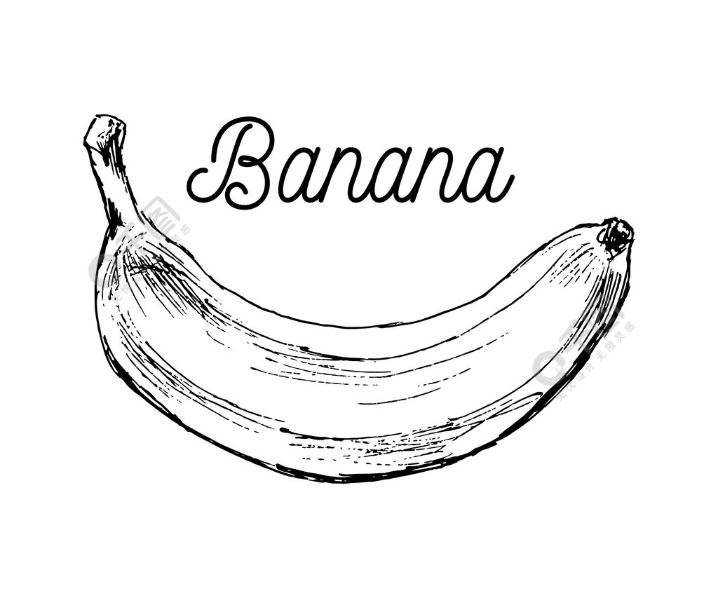 用于着色的香蕉水果食品对象的黑白卡通矢量插图着色书香蕉水果食品