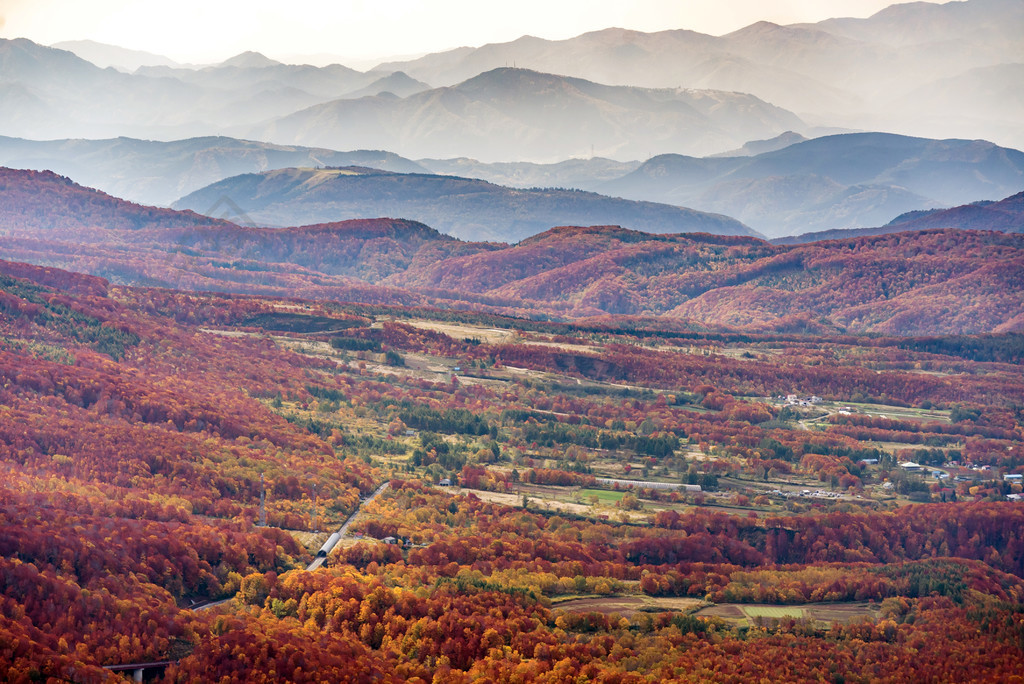 日本青森東北八甲田山森林林地紅葉秋季秋季鳥瞰圖