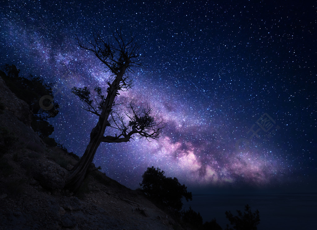 反對銀河的山上的樹夜景夜晚五顏六色的風景夏天的星空美麗的宇宙與