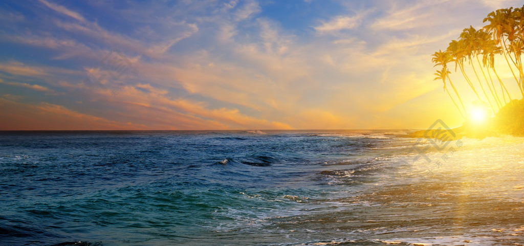 令人愉快的海景蔚蓝的海洋和棕榈树在早晨的阳光下的轮廓宽幅照片