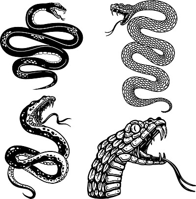蛇头图片 画法图片