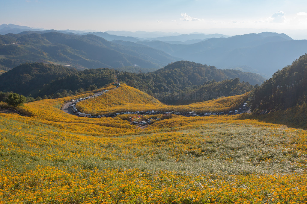 ̩غ˳һ԰԰ɽϵپջƻͼкͶȼеȻۡ Doi Mae U Kho  Thung Bua Tong