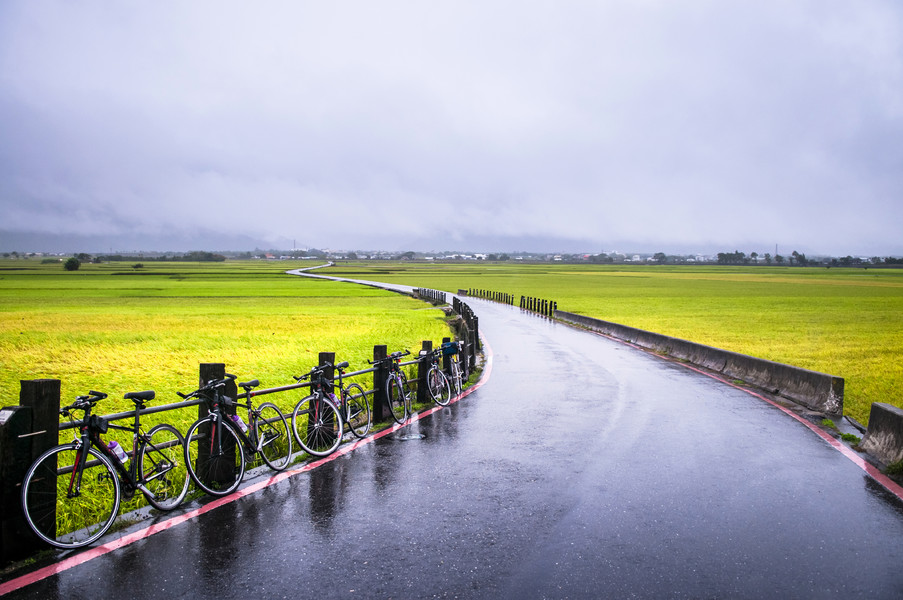 臺灣台東池上雨後的自 i>行 /i>車和稻田.