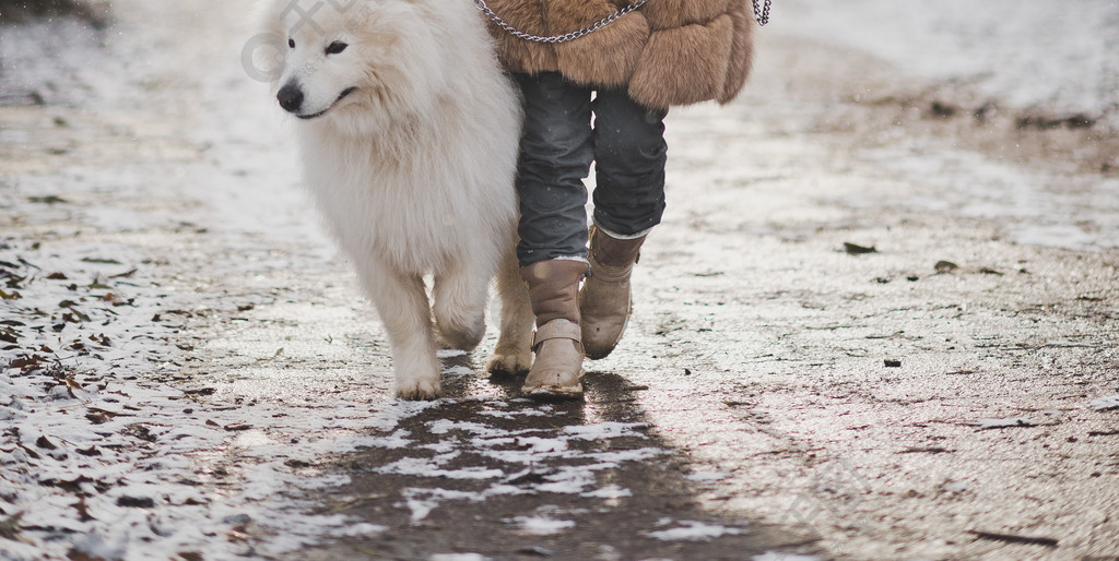 一个女孩带着狗沿着秋天的小巷散步的肖像一个女孩用皮带牵引你的狗