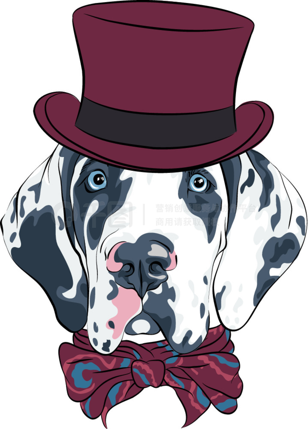 źɫñӺʸߵ㹷 Harlequin Great Dane Puppyʸߵ㹷ȮƷ