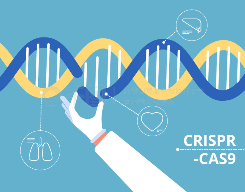 CRISPR-Cas9༭