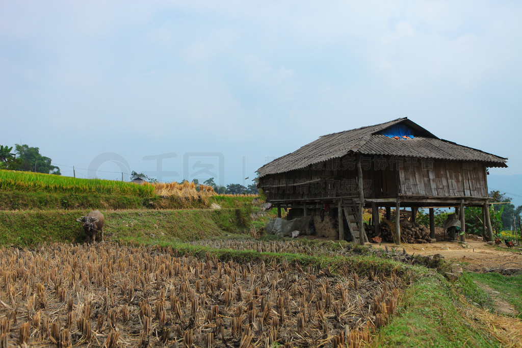 ϵĵ׼ֲˮءӽʡ Huyen Hoang Su Phi  Ban PhungԽϱ