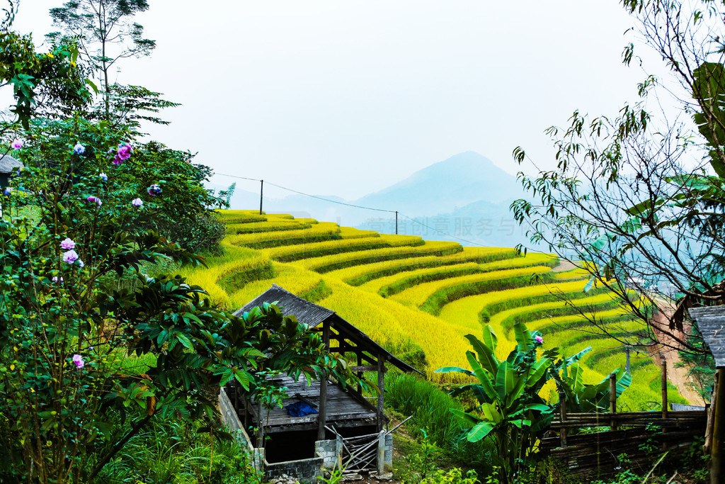 ϵĵ׼ֲˮءӽʡ Huyen Hoang Su Phi  Ban LuocԽϱ