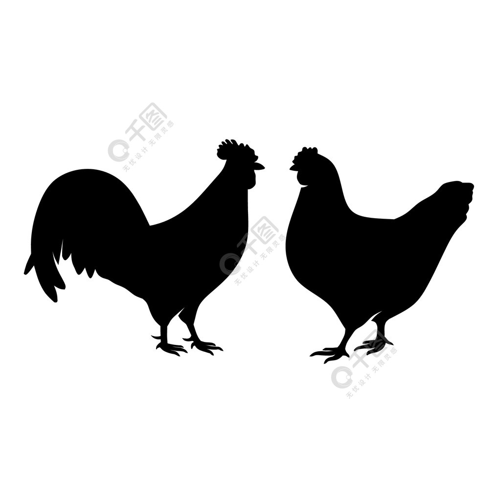 白色背景上黑色的农场动物剪影,白色矢量上孤立的鸡剪影 模板免费下载