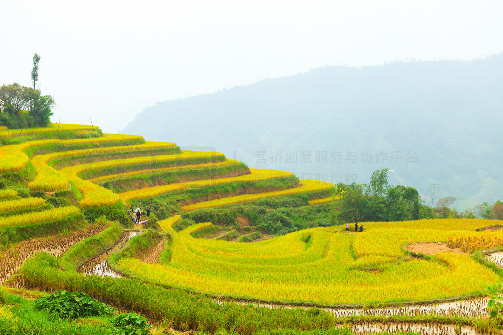 ϵĵ׼ֲˮءӽʡ Huyen Hoang Su Phi  Ban PhungԽϱ