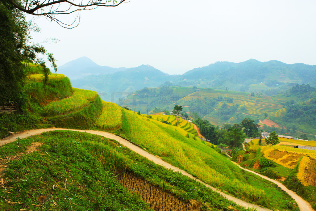 ϵĵ׼ֲˮءӽʡ Huyen Hoang Su Phi  Ban LuocԽϱ