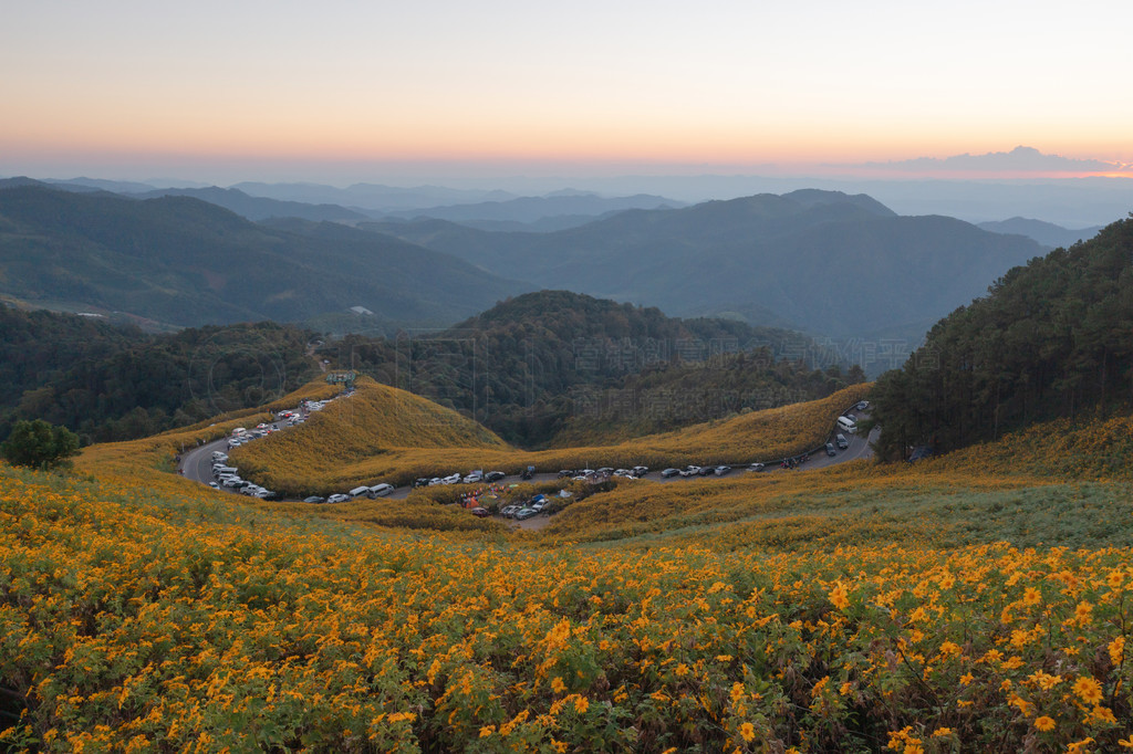 ̩غ˳һ԰԰ɽϵپջƻͼкͶȼеȻۡ Doi Mae U Kho  Thung Bua Tong