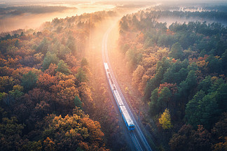 秋季日出时雾中美丽森林中火车的鸟瞰<i>图</i>。秋天的通勤列车。五颜六色的风景与铁路，有雾的树木与充满活力的树叶，阳光。<i>顶</i><i>视</i><i>图</i>。火车站