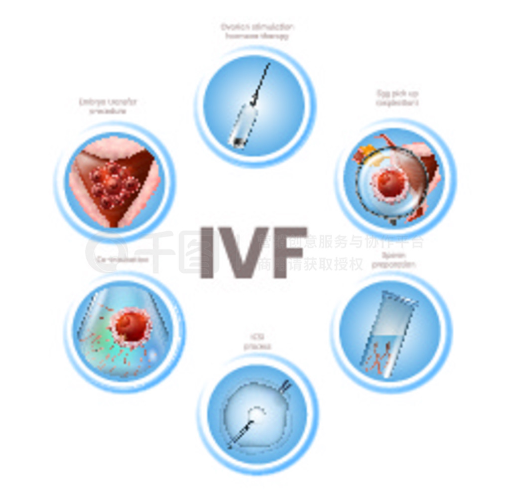 ܾϢͼڰɫϸ IVF ׶εıԲͼꡣศֳʸʵ֤ҽѧ