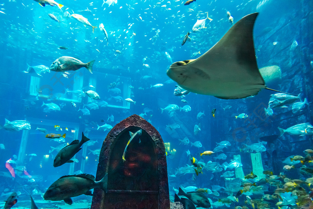 深海水族馆热带风情图片