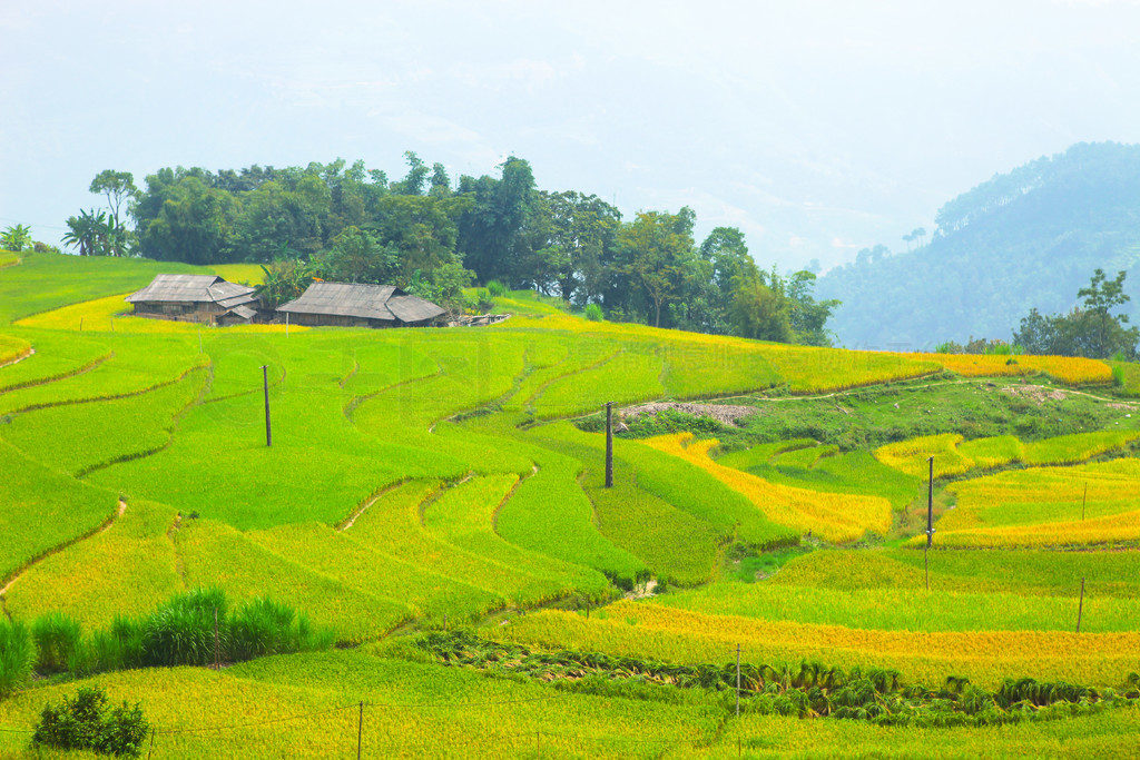 ϵĵ׼ֲˮءӽʡ Huyen Hoang Su Phi  Ban PhungԽϱ