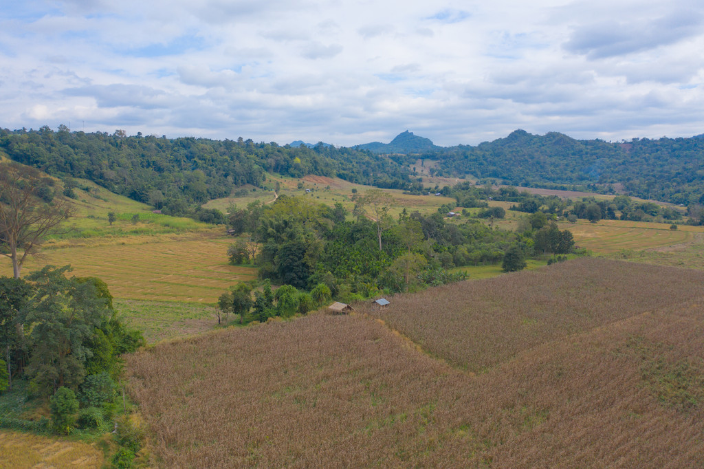 农业概念中的干草稻田和农田与绿色山丘的空中俯视图泰国的自然景观