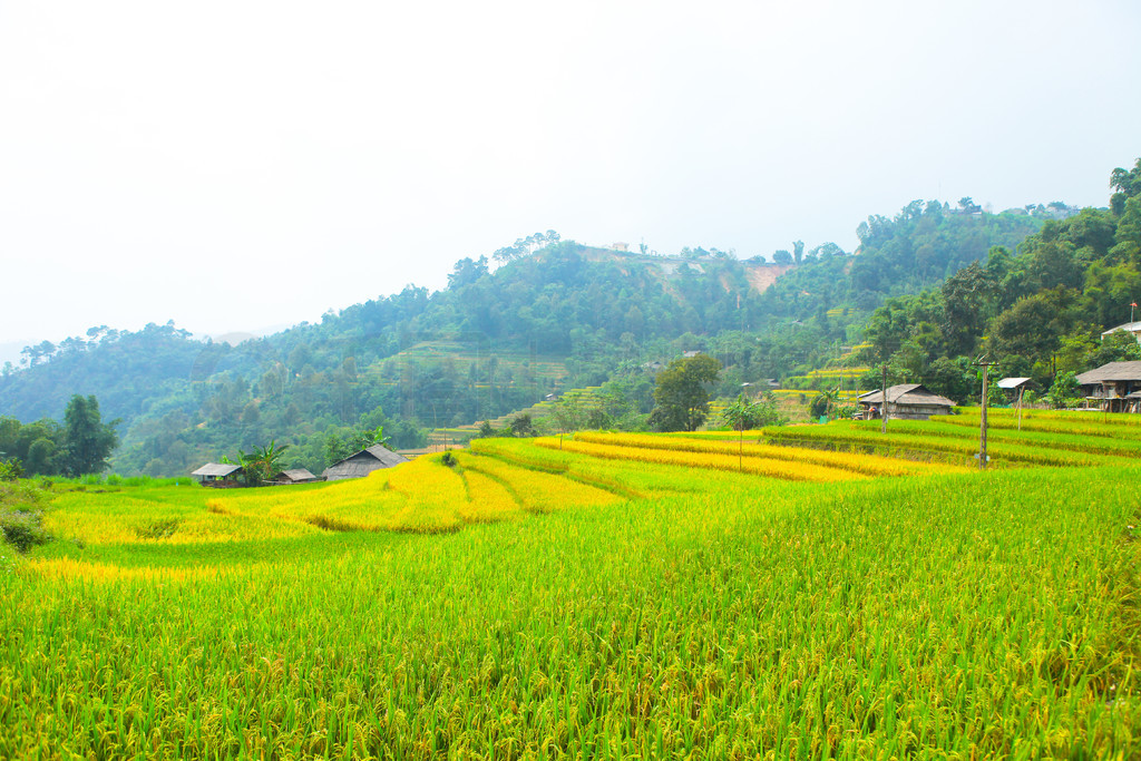 ϵĵ׼ֲˮءӽʡ Huyen Hoang Su Phi  Ban PhungԽϱ