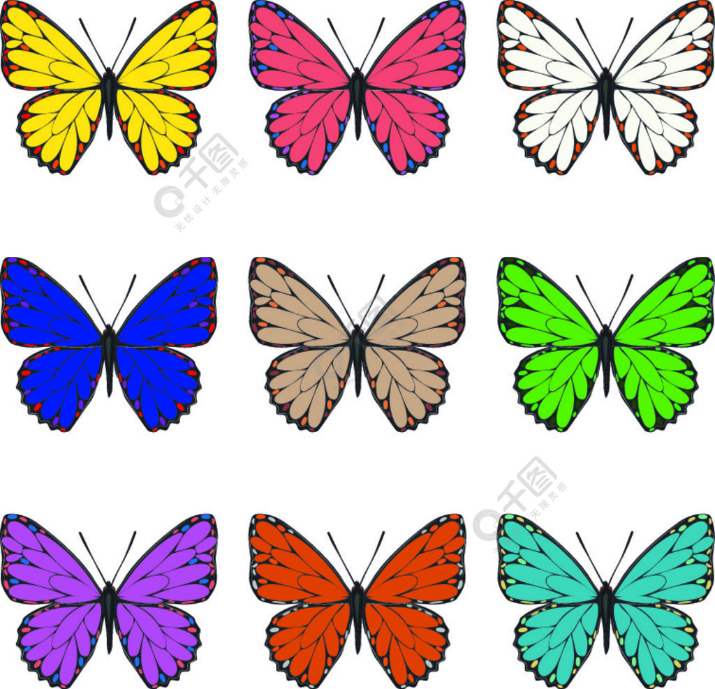 蝴蝶套白色背景上不同颜色的夏季蝴蝶的集合