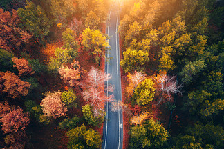 日落时美丽的秋天森林中的道路鸟瞰图。美丽的风景，空旷的乡村道路，红橙叶的树木。穿过公园的高速公路。飞行无人机的顶视图。自然