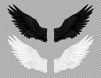 黑白天使翅膀。天鹅和乌鸦的羽毛，鸟嘉年华服装。在透明背景上飞行的羽毛动物的<i>部</i>分。天使会徽模板。童话装饰，矢量隔离集。黑白天使翅膀。天鹅和乌鸦的羽毛，鸟嘉年华服装。透明背景上的羽毛动物的<i>部</i>分。天使会徽模