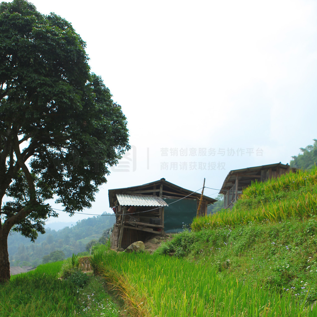 ϵĵ׼ֲˮءӽʡ Huyen Hoang Su Phi  Ban PhungԽϱ